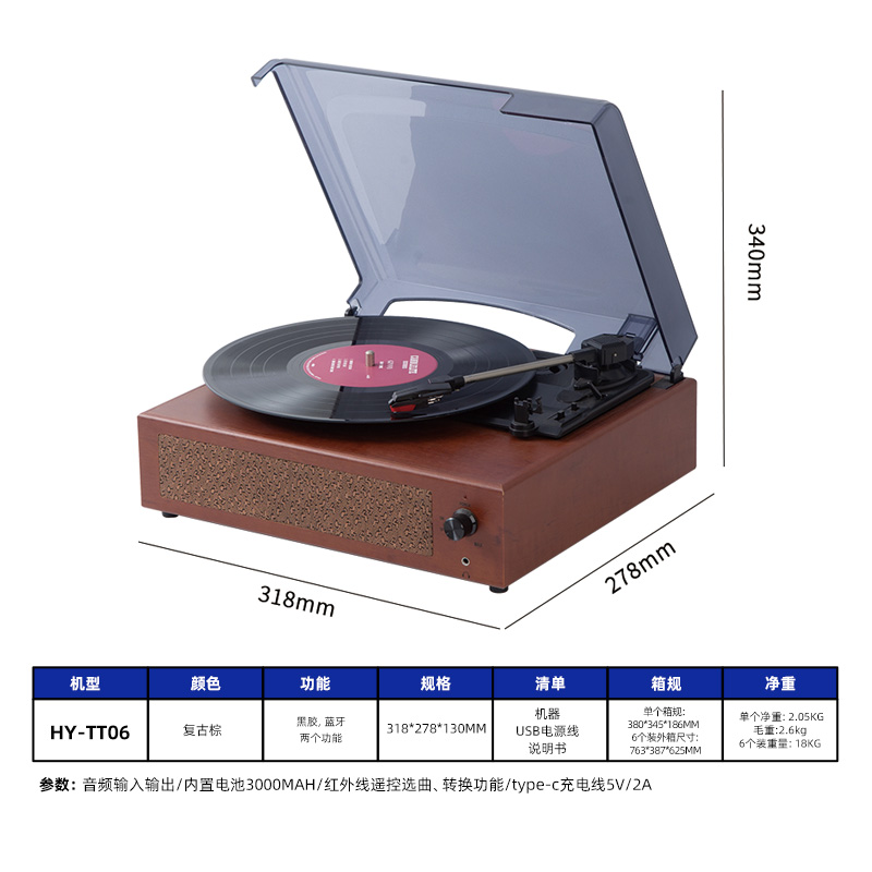 Vinyl Record Player 2