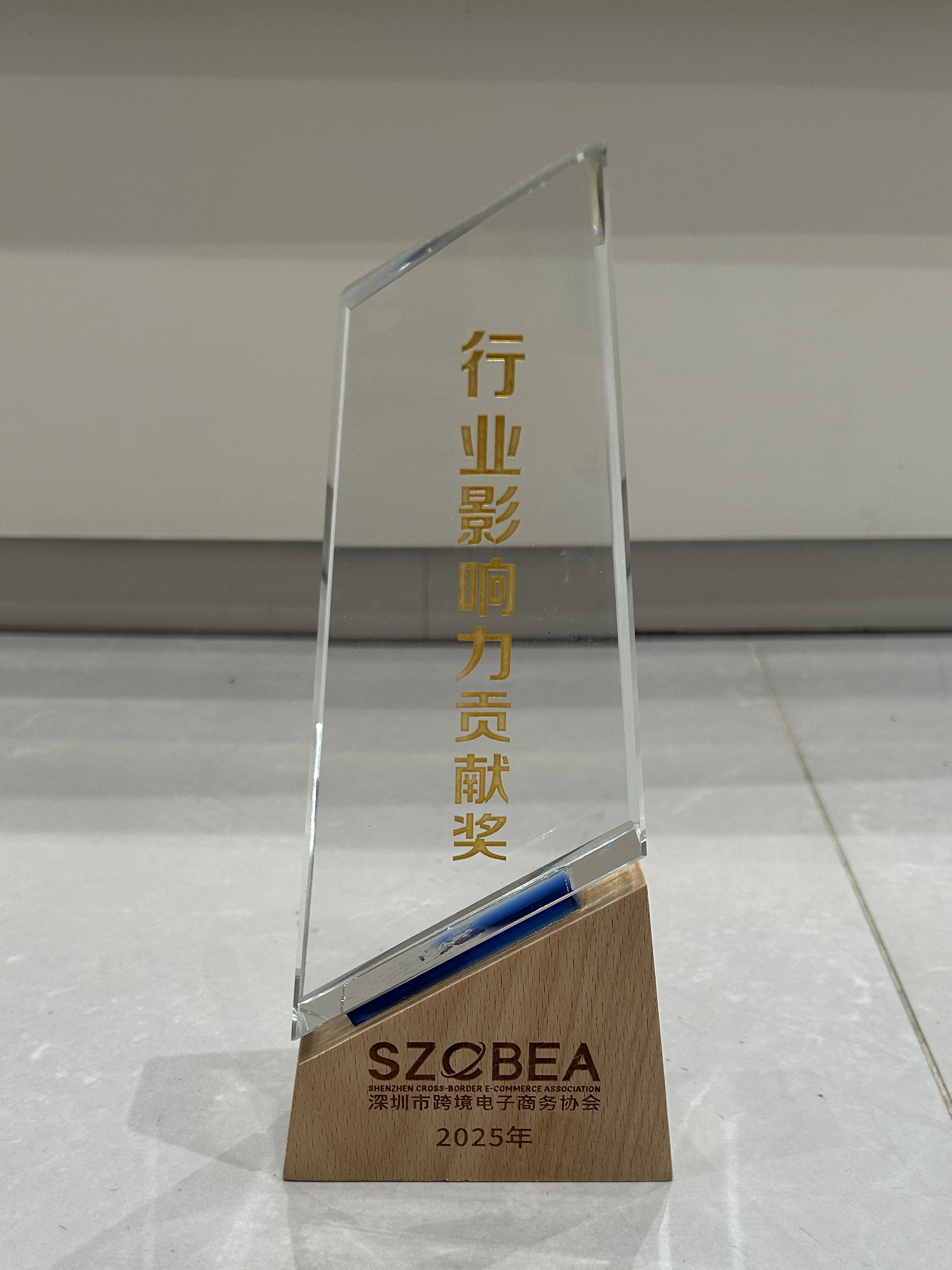 Home furnishing brand cross-border expansion case