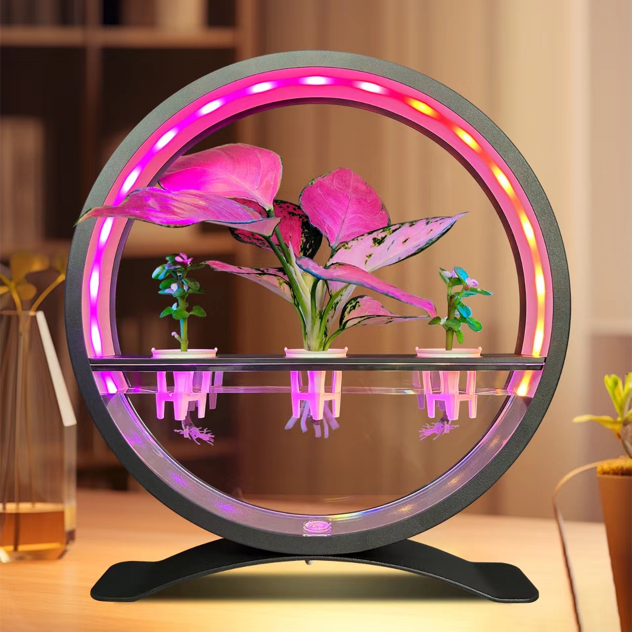 Multi-Functional Water Feature Light 2