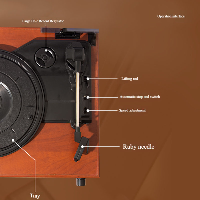 Vinyl Record Player 3